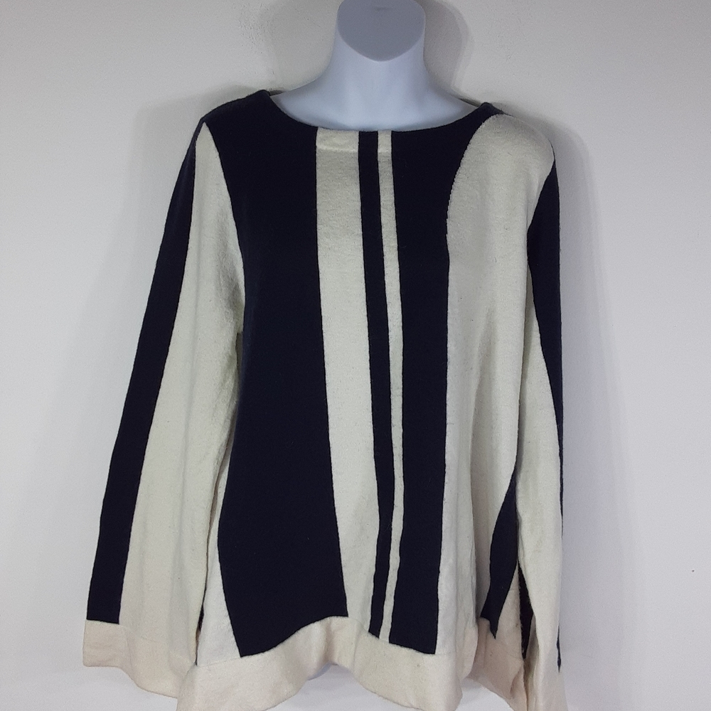🌸Ann Taylor long sleeve scoop neck sweater top